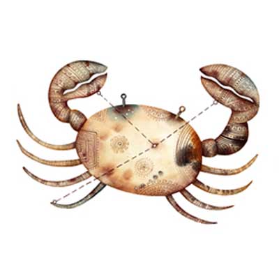 Sternzeichen Krebs Sternzeichen Krebs