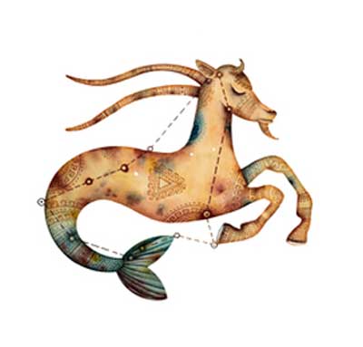 Sternzeichen Steinbock Sternzeichen Steinbock