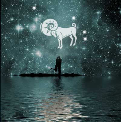 widder-partner Widder als Partner