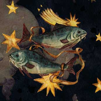 fische-eigenschaften Eigenschaften Fische