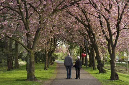 goldene-hochzeit-paar Paar zur Goldhochzeit