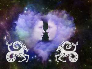 steinbock-steinbock-klein Steinbock und Steinbock