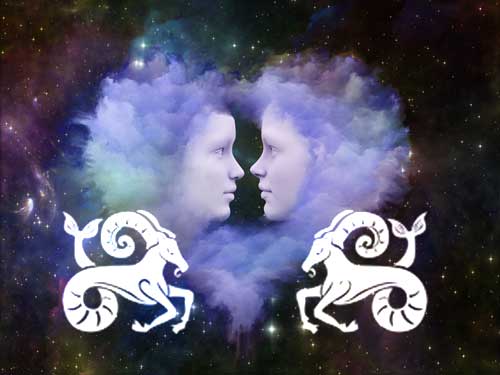 steinbock-steinbock Steinbock mit Partner Steinbock