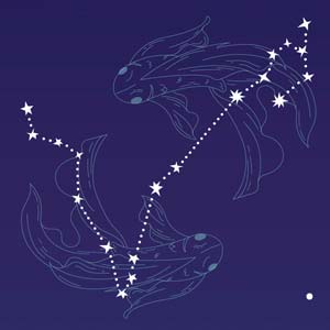 partnerhoroskop Partnerhoroskop