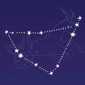 partnerhoroskop Partnerhoroskop