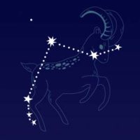 partnerhoroskop Partnerhoroskop